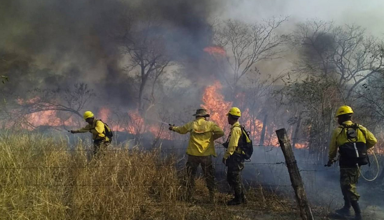 incendio forestal